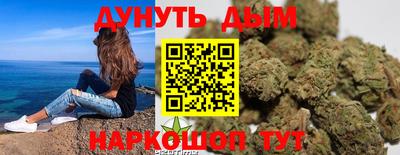 кокс Кингисепп