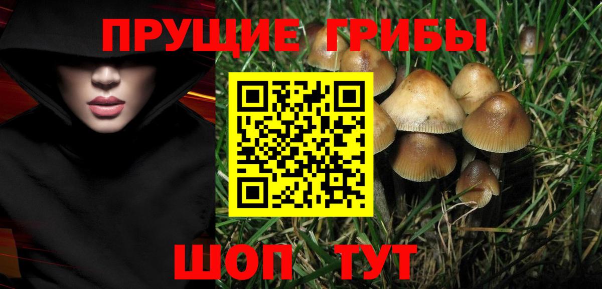 Псилоцибиновые грибы прущие грибы  Галлюциногенные грибы мухоморы  где купить наркоту  Корсаков  Вход с VPN 